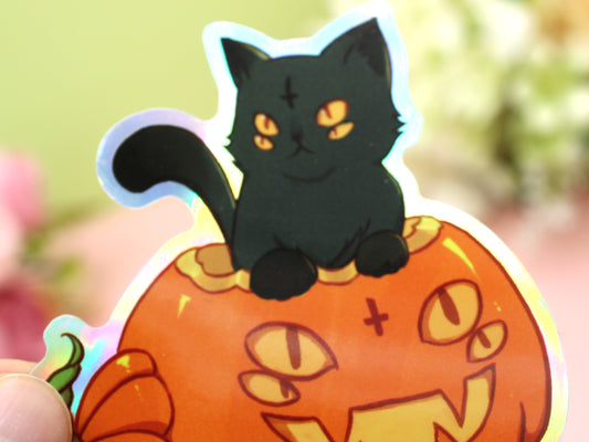 Four Eyed Cat In Pumpkin