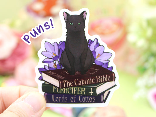 Black Cat and Books Puns Sticker