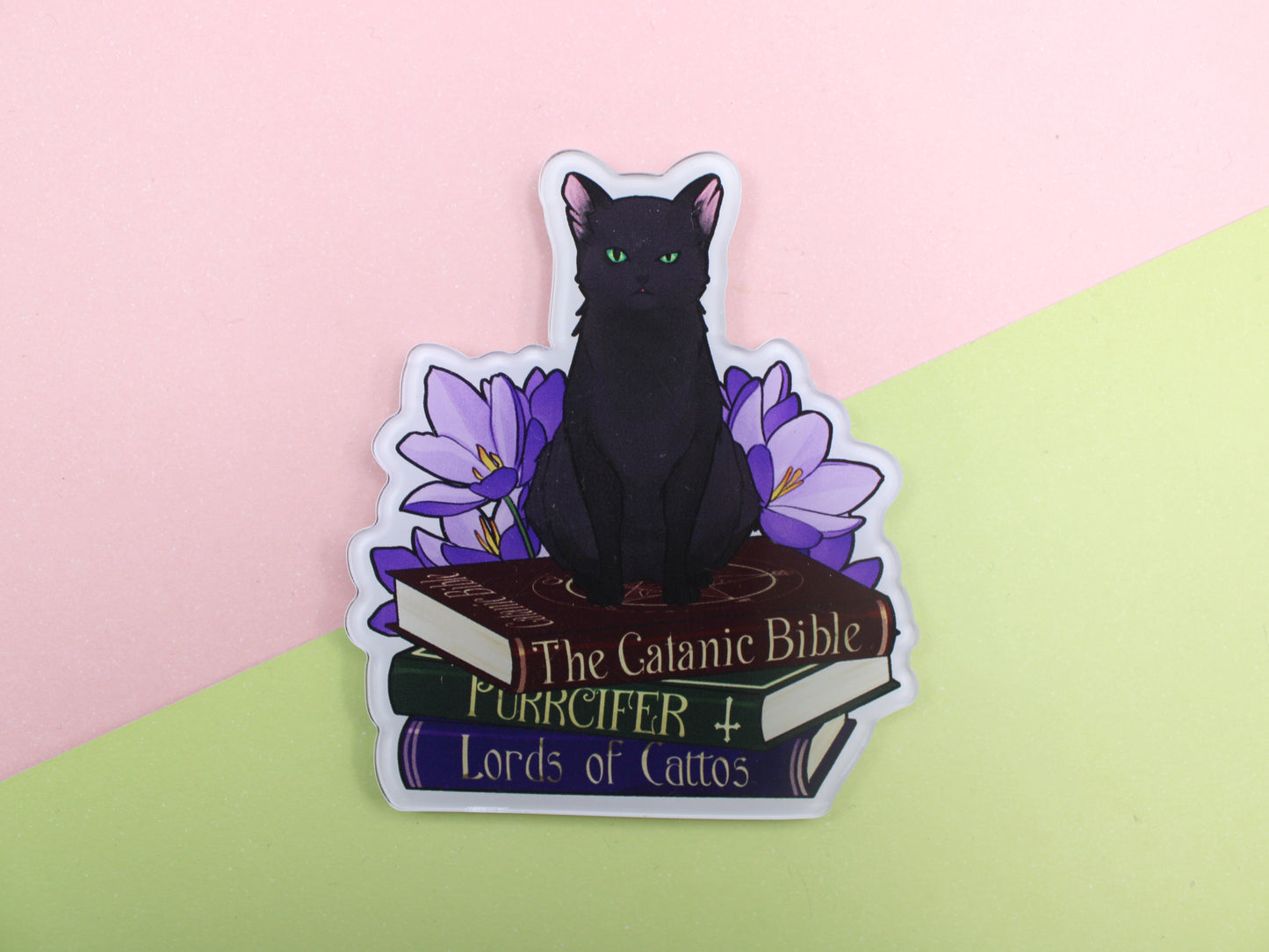 Black Cat and Books Acrylic Fridge Magnet