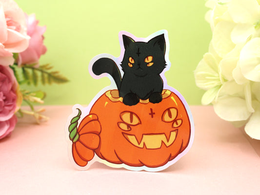 Four Eyed Cat In Pumpkin