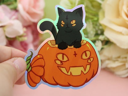 Four Eyed Cat In Pumpkin